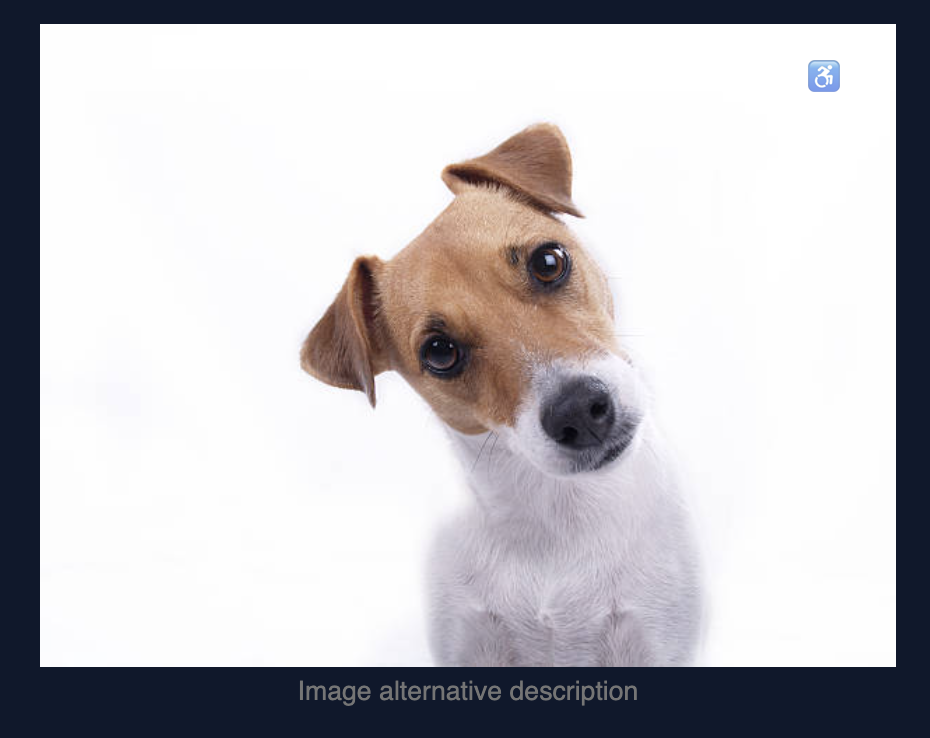 11tyCMS's editor displaying a stock image of a dog, in the top right is the "disability" emoji. Beneath the image is a text box with a placeholder saying: "Image alternative description"