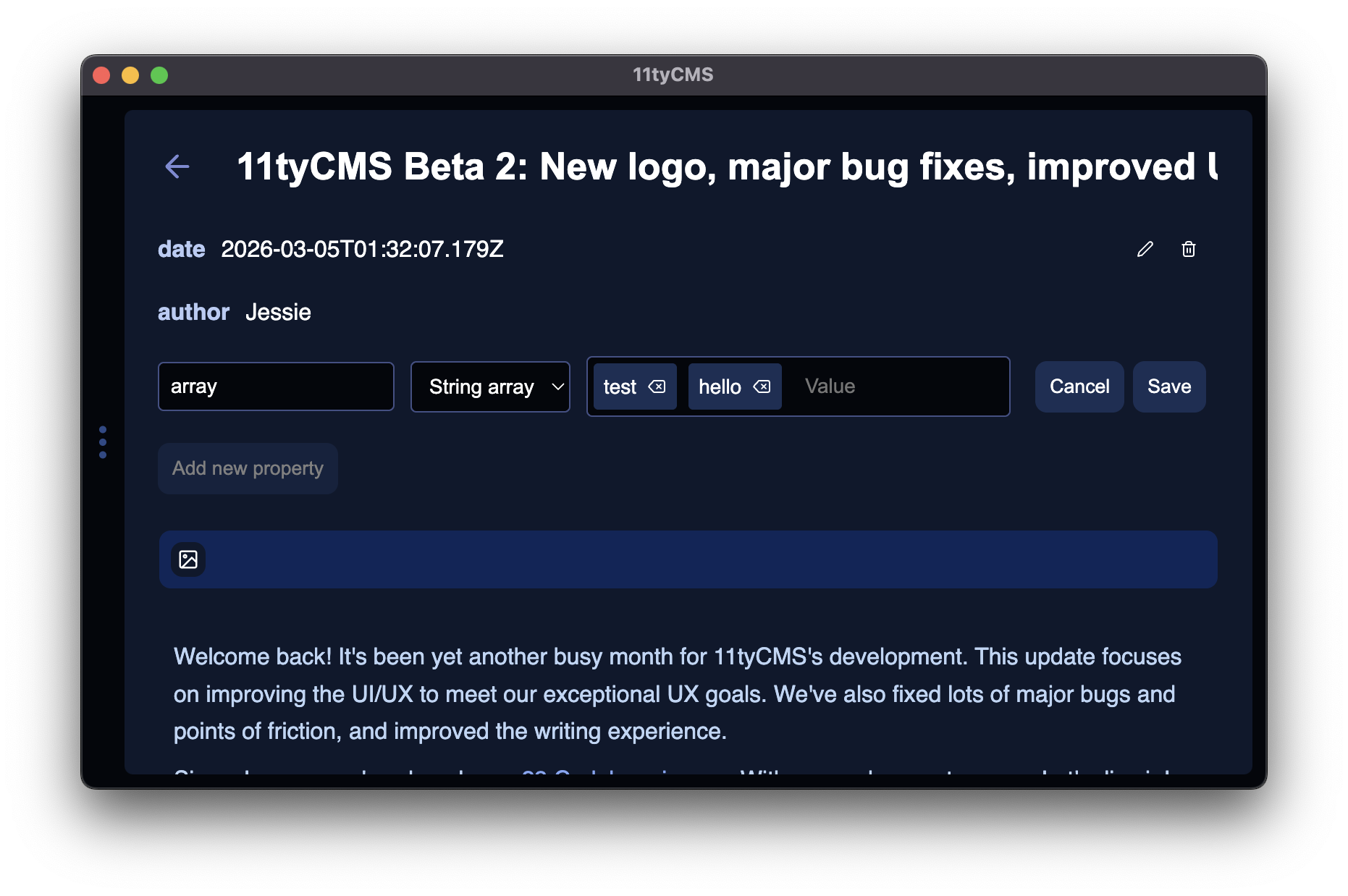 Screenshot of 11tyCMS's editor, with the string array type active, showing a text box with "tags" in it.